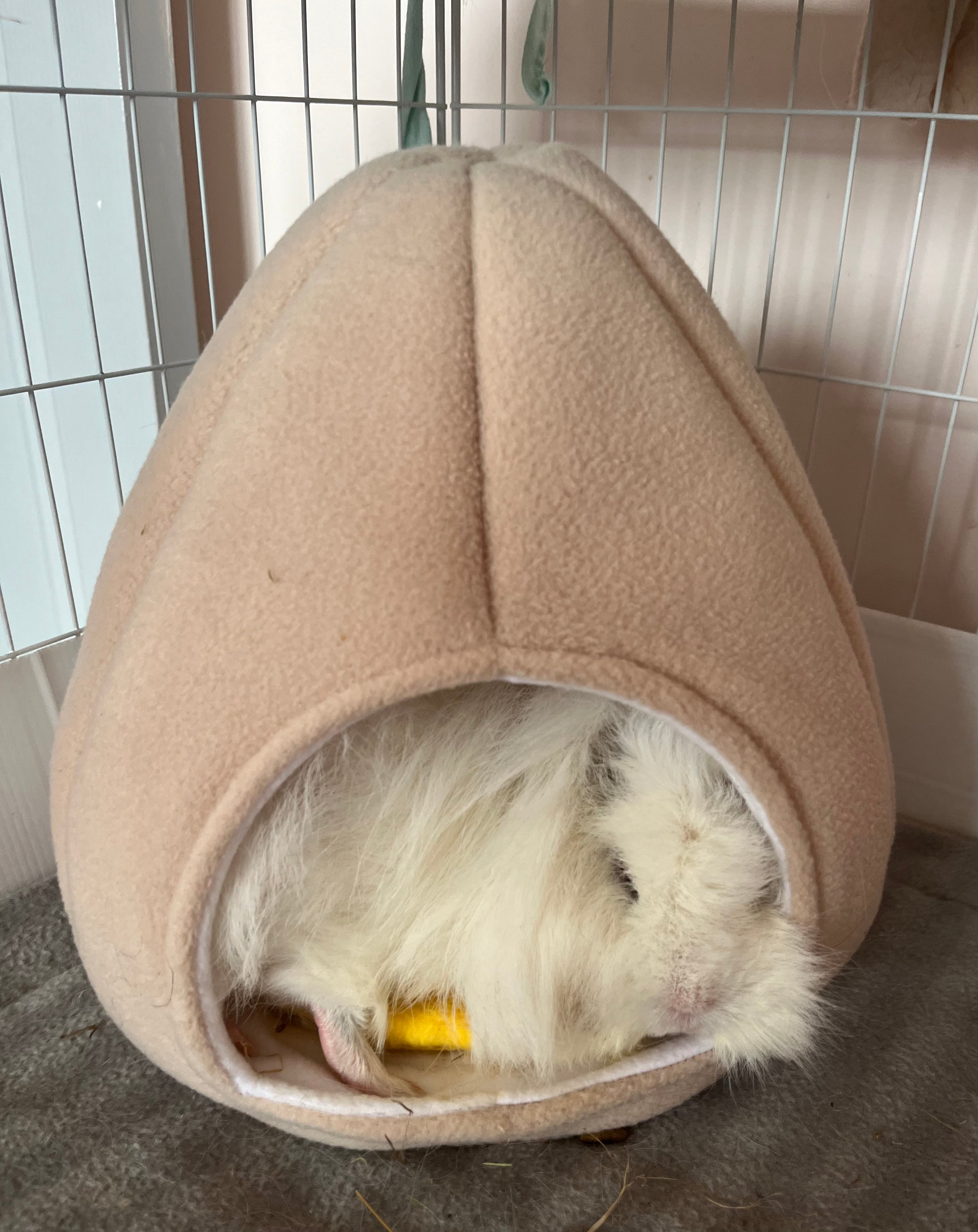 Boiled Egg Bed Cosy Pod Guinea Pig Bed Hide Little Squeaks Piggie Boutique