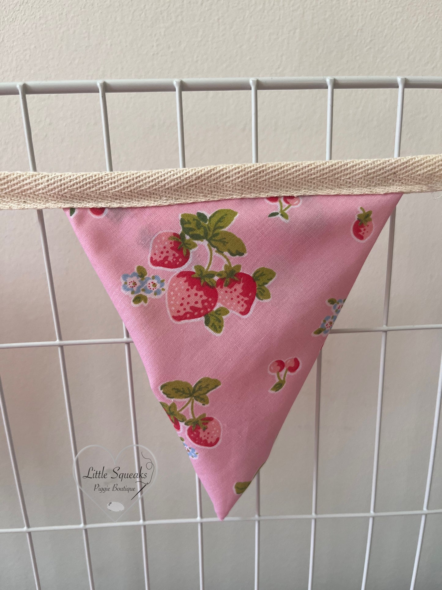 Bunting - Guinea Pig Cage Accessories (Strawberry Kisses Collection)